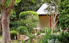 The Noble Grape Guesthouse